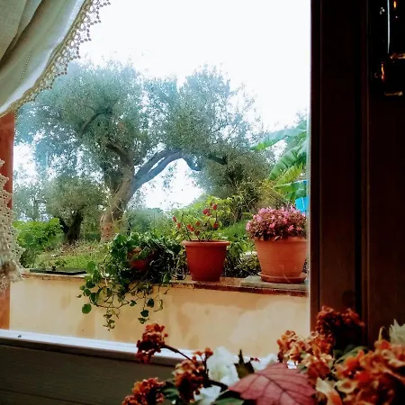 Calcasacco Holiday home *